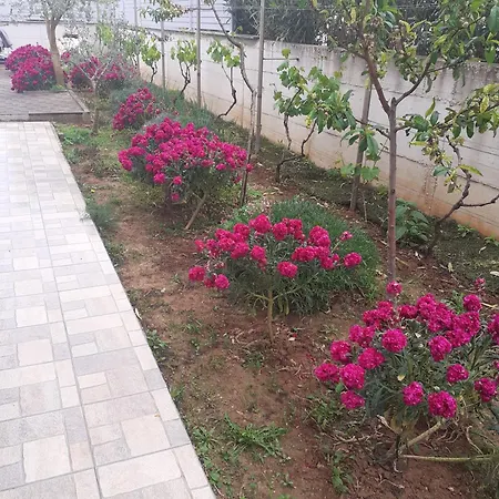 Barbara * Zaton (Zadar)