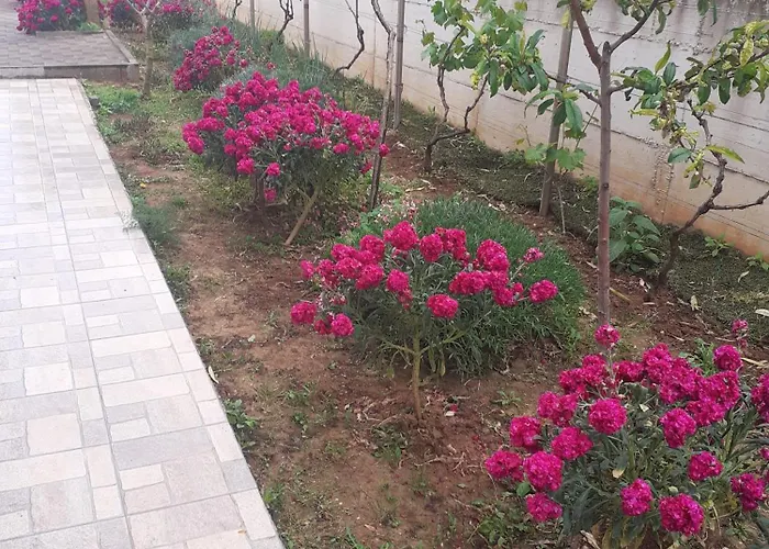 Barbara * Zaton (Zadar)